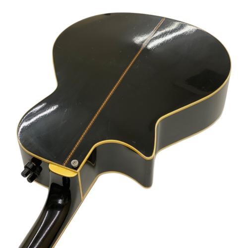 Tokai (トーカイ) アコースティックギター TEA-80D @