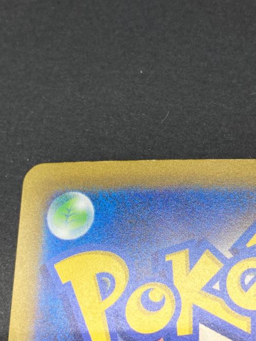 ポケモン リザードンex ポケモンカード 201/165 SAR