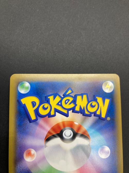 ポケモン エリカのおもてなし ポケモンカード 107/095 SR