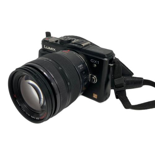 Panasonic (パナソニック) ミラーレス一眼カメラ DMC-GX1 LUMIX