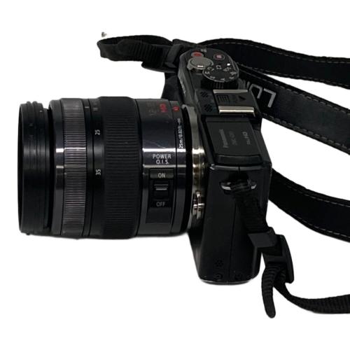Panasonic (パナソニック) ミラーレス一眼カメラ DMC-GX1 LUMIX