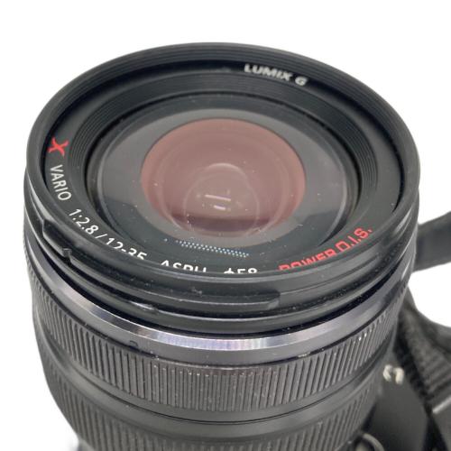 Panasonic (パナソニック) ミラーレス一眼カメラ DMC-GX1 LUMIX