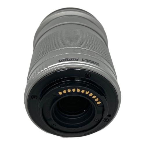 OLYMPUS (オリンパス) ミラーレス一眼カメラ EZダブルズームキット E-PL9