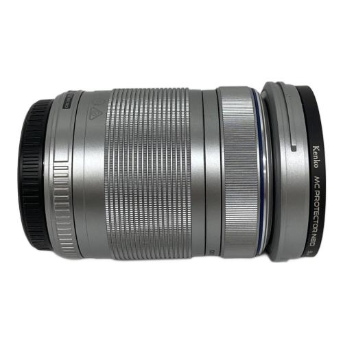 OLYMPUS (オリンパス) ミラーレス一眼カメラ EZダブルズームキット E-PL9