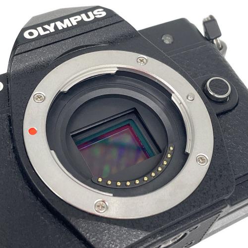 OLYMPUS (オリンパス) ダブルズームキット ミラーレス一眼カメラ OM-D E-M10 Mark Ⅲ