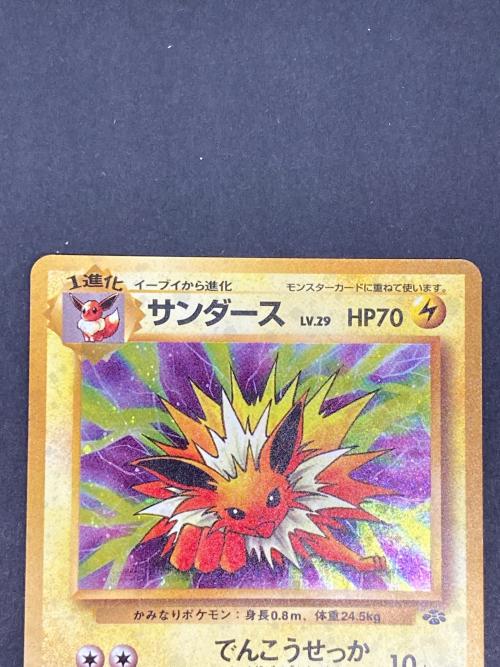 サンダース Lv29 ポケモンカード