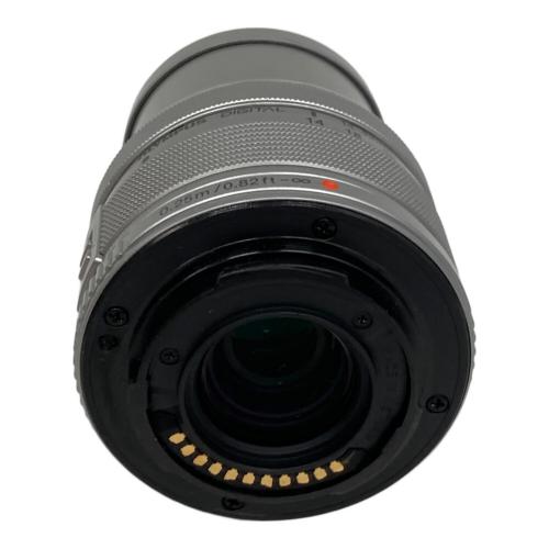 OLYMPUS (オリンパス) ミラーレス一眼カメラ E-PL6 ダブルレンズキット