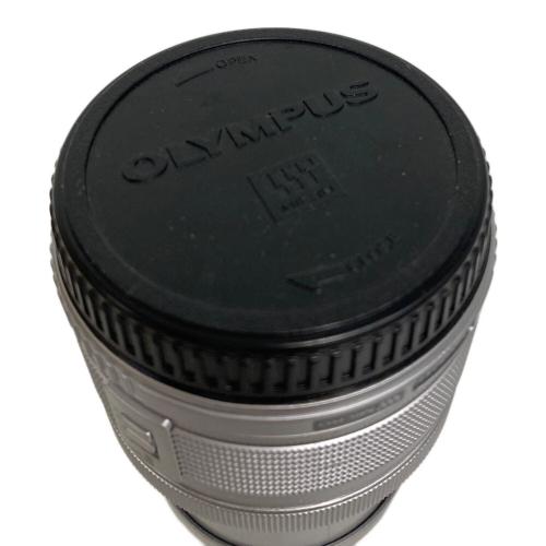 OLYMPUS (オリンパス) ミラーレス一眼カメラ E-PL6 ダブルレンズキット