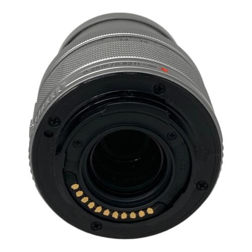 OLYMPUS (オリンパス) ミラーレス一眼カメラ E-P3