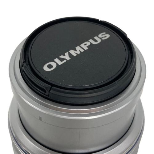 OLYMPUS (オリンパス) ミラーレス一眼カメラ E-P3