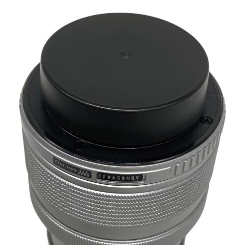 OLYMPUS (オリンパス) ミラーレス一眼カメラ E-P3