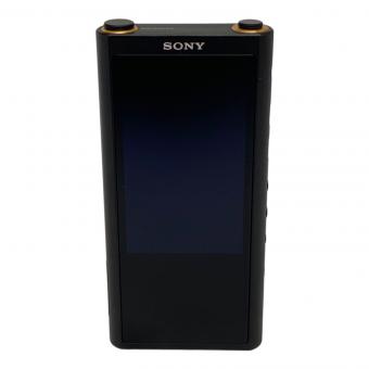 SONY (ソニー) WALKMAN NW-ZX300 64GB