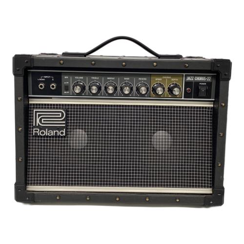 ROLAND (ローランド) ギターアンプ JC-22