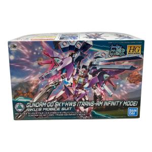 BANDAI SPIRITS (バンダイスピリッツ) ガンダムビルドダイバーズ ガンダムダブルオースカイHWS(トランザムインフィニティモード) ガンプラ HG