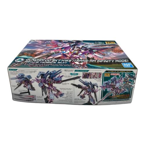 BANDAI SPIRITS (バンダイスピリッツ) ガンダムビルドダイバーズ ガンダムダブルオースカイHWS(トランザムインフィニティモード) ガンプラ HG