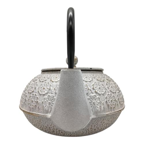 南部鉄器 (ナンブテッキ) 急須 cotta