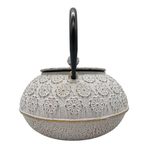 南部鉄器 (ナンブテッキ) 急須 cotta