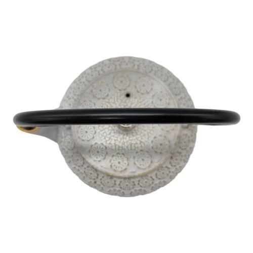 南部鉄器 (ナンブテッキ) 急須 cotta