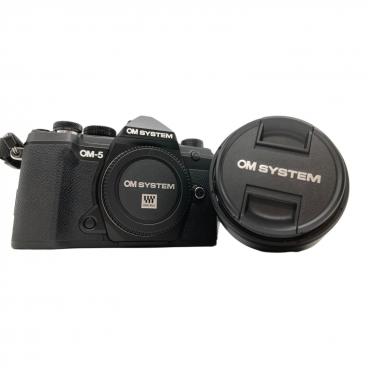 Panasonic LUMIX GF3 ミラーレスカメラ　※ジャンク品 Panasonic (パナソニック) ミラーレス一眼カメラ LUMIX GF3