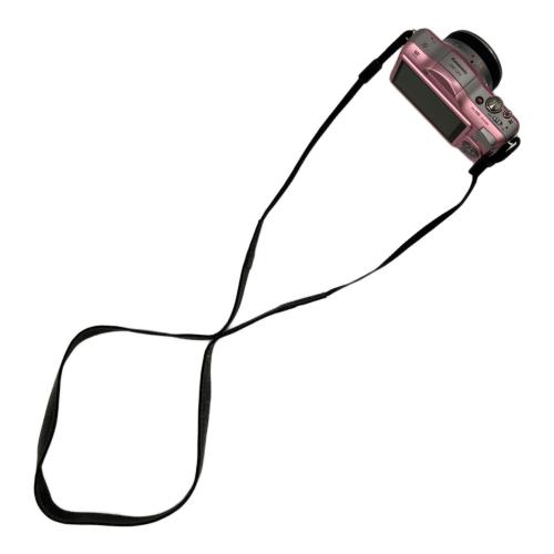 Panasonic (パナソニック) ミラーレス一眼カメラ LUMIX GF3