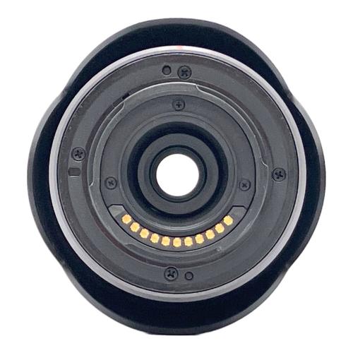 Panasonic (パナソニック) ミラーレス一眼カメラ LUMIX GF3