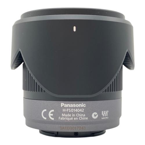 Panasonic (パナソニック) ミラーレス一眼カメラ LUMIX GF3