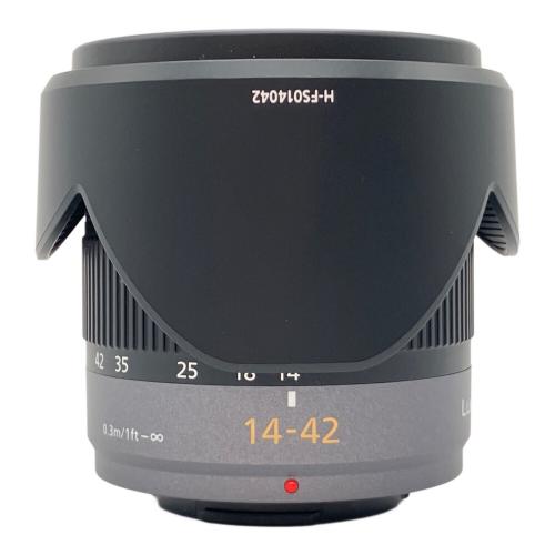 Panasonic (パナソニック) ミラーレス一眼カメラ LUMIX GF3