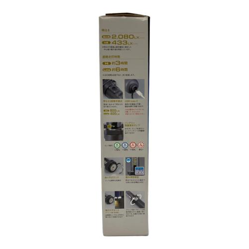 HATAYA (ハタヤ) LEDジョーハンドランプ LW-10C