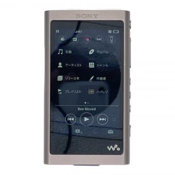 SONY (ソニー) デジタルミュージックプレイヤー  WALKMAN NW-A55 動作確認済   画面、本体にキズ有