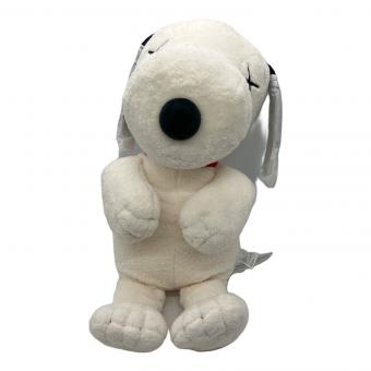 KAWS (カウズ) スヌーピー Mサイズ