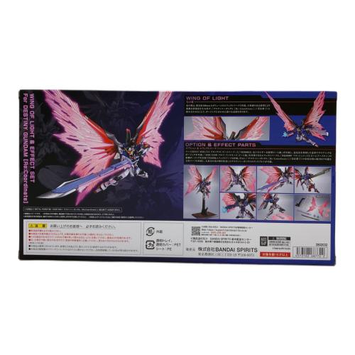 BANDAI (バンダイ) 機動戦士ガンダム SEED DESTINY デスティニーガンダム[Re：Coordinate]専用 ガンプラ METAL ROBOT魂