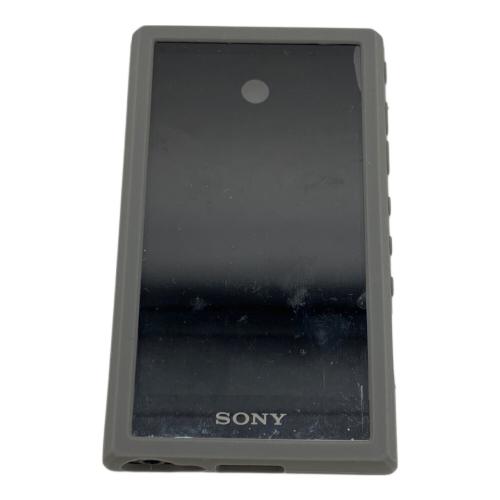 SONY (ソニー) WALKMAN YY1301B2