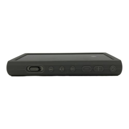 SONY (ソニー) WALKMAN YY1301B2