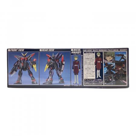 機動戦士ガンダムSEED (キドウセンシガンダムシード) 1/100 ブリッツ