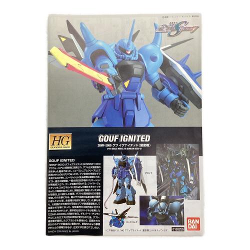 機動戦士ガンダムSEED DESTINY (シードディスティニー) HG 1/144 グフ