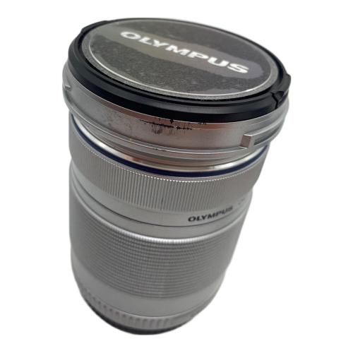 OLYMPUS (オリンパス) ミラーレス一眼カメラ PEN E-PL7 1720万画素(総画素) マイクロフォーサーズ 専用電池 SDXCカード対応 BHAA82892