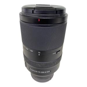 SONY (ソニー) ズームレンズ FE 70-300mm F4.5-5.6 G OSS SEL70300G