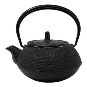 南部鉄器 (ナンブテッキ) 鉄瓶兼用急須