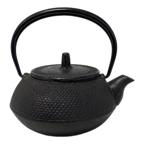 南部鉄器 (ナンブテッキ) 鉄瓶兼用急須