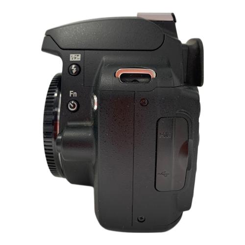 Nikon (ニコン) デジタル一眼レフカメラ D60