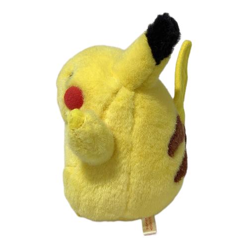 ポケモン にっこりバンザイピカチュウ