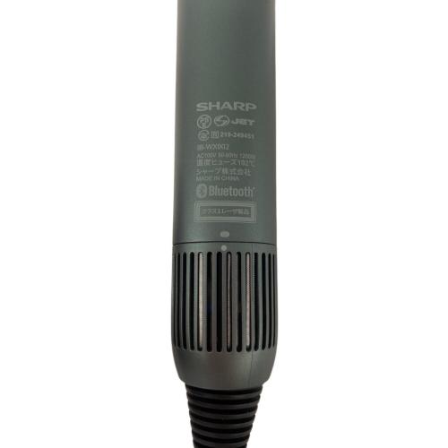 Panasonic (パナソニック) ヘアードライヤー IB-WX902 2025年製 グリーン
