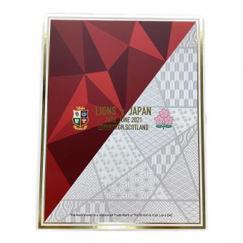 ラグビー日本代表 応援グッズ LIONS VS JAPAN メモリアルジャージ