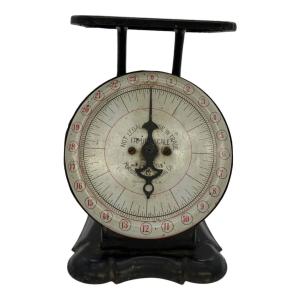 ファミリースケール ヴィンテージ