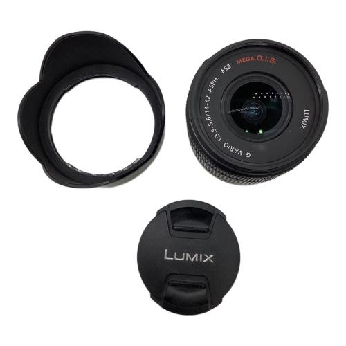 Panasonic (パナソニック) ミラーレス一眼カメラ レンズヤケ・キズ有 DMC-GF3 -