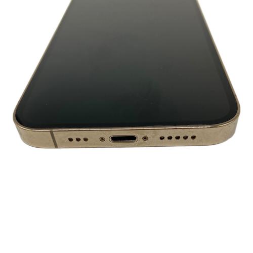 Apple (アップル) iPhone12 Pro MGMC3J/A