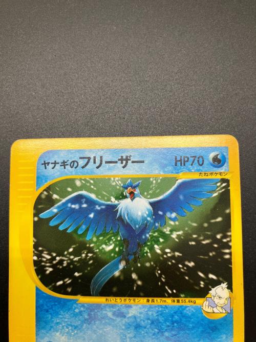 ヤナギのフリーザー ● ポケモンカード★VS 042/141 PSA10 ヤナギのフリーザー ○ ポケモンカード☆VS 042/141 PSA10 PSA10