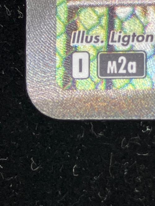 マリィのオーロンゲEX ポケモンカード 243/193 SAR