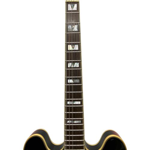 EPIPHONE (エピフォン) SHERATONⅡ VS セミアコースティックギター 2013年製 @