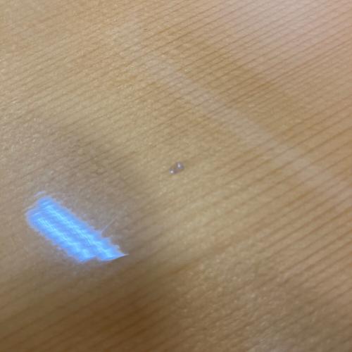 S.Yairi (エスヤイリ) アコースティックギター YD302